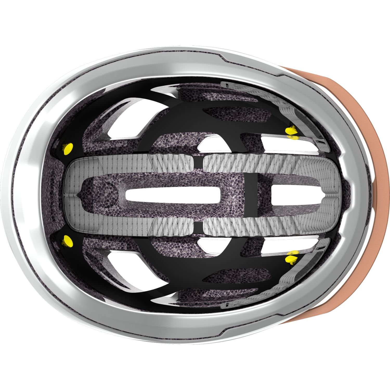 Arx Plus (CE)