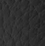 Addiction Walker 2 W