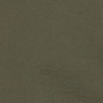 Hiking V Shorts Women