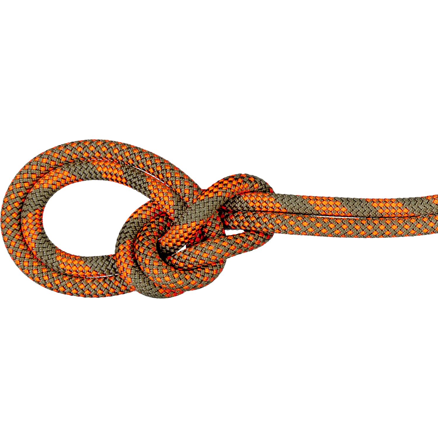 9.5 Crag Dry Rope Duodess