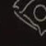 Tour Backpack Neon 2025