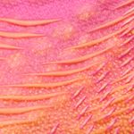 FUTURE 9 ULTIMATE FG